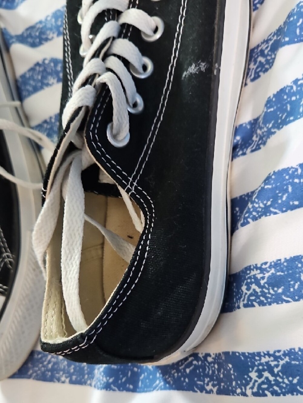 Converse Black and White Low-Top Canvas Sneakers - Picture 4 of 7